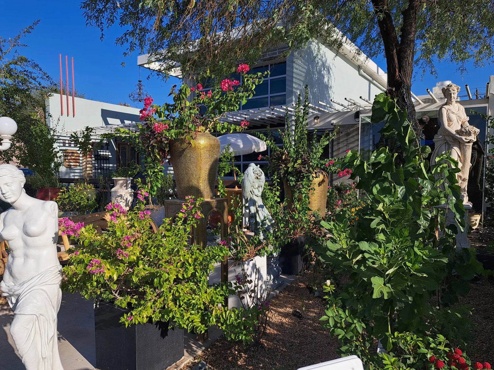Urban Fraiche Restaurant, Phoenix, United States