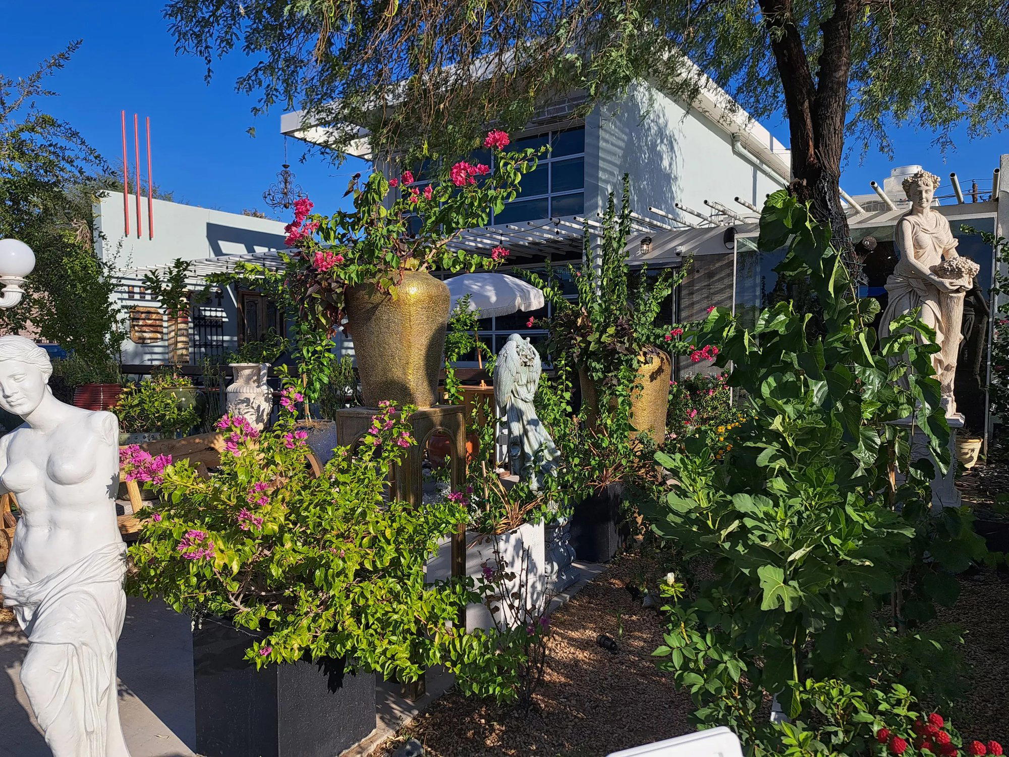 Urban Fraiche Restaurant restaurant in Phoenix, United States