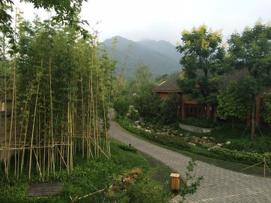 Farm 2 Fork restaurant in Dujiangyan
