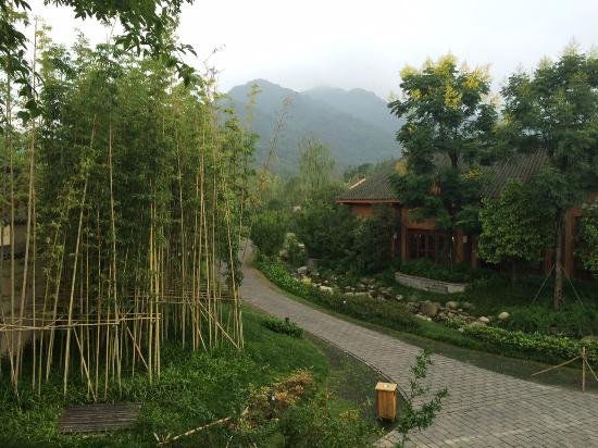 Farm 2 Fork, Restaurant in Dujiangyan