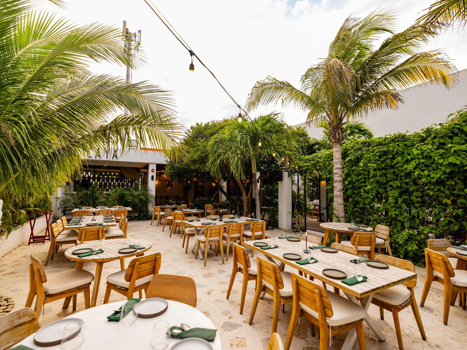 Terra by Jeremy Ford, Restaurant in Oranjestad