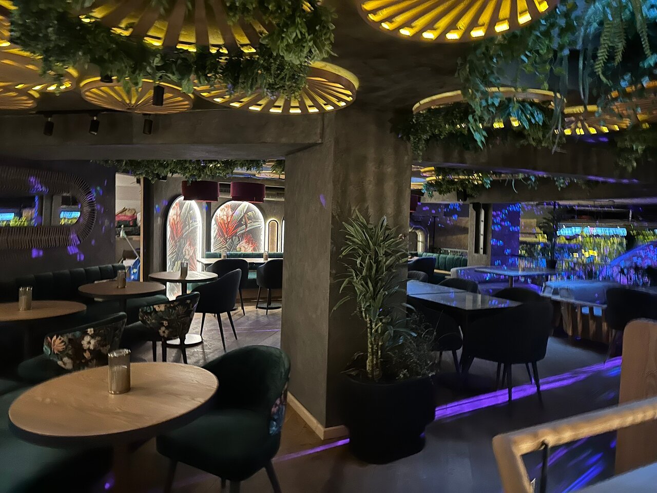 Ziizuu, Vienna, Austria