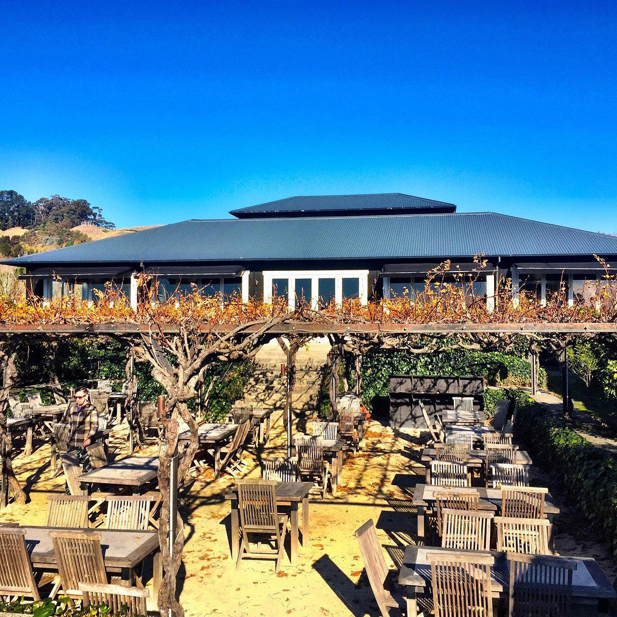 Black Barn Bistro restaurant in Havelock North