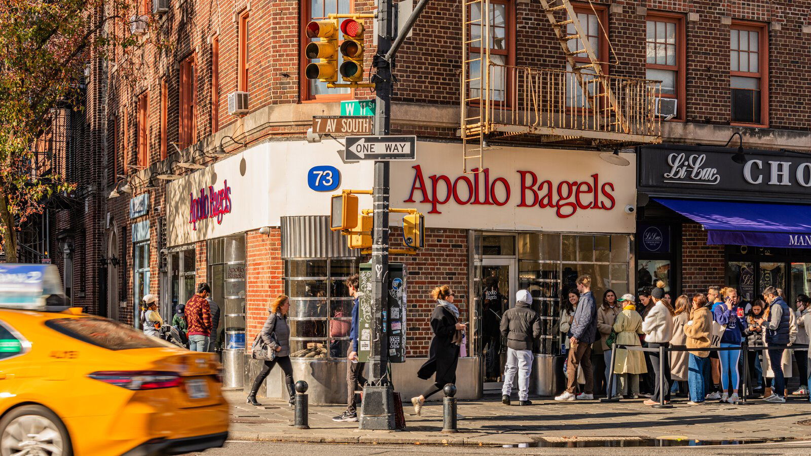 Apollo Bagels, Restaurant in New York City