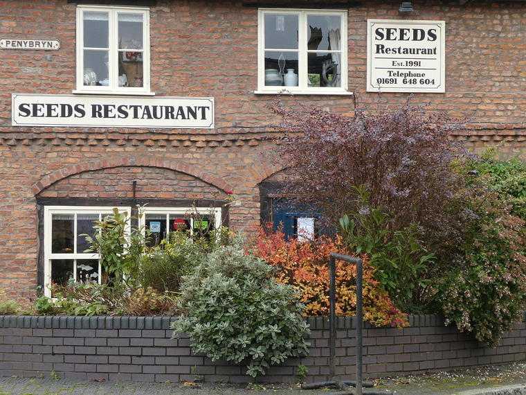 Seeds, Llanfyllin, United Kingdom