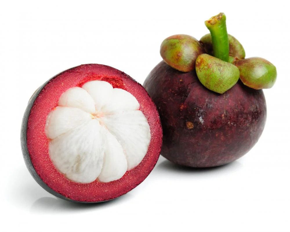 Mangosteen, Restaurant in Hanoi