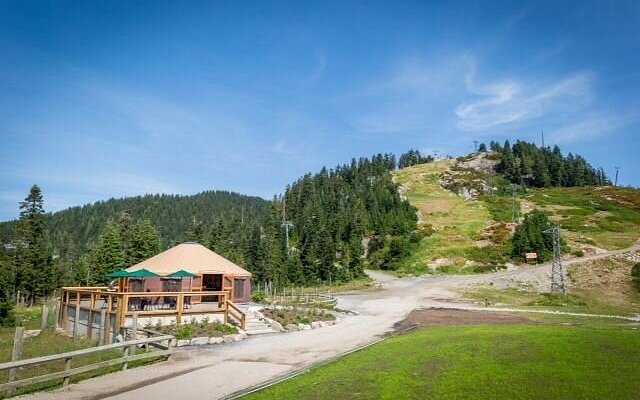 Grizzly Lookout Café, North Vancouver, Canada