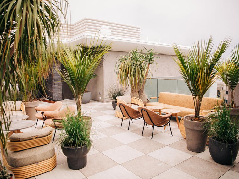 Calabra, Santa Monica, United States