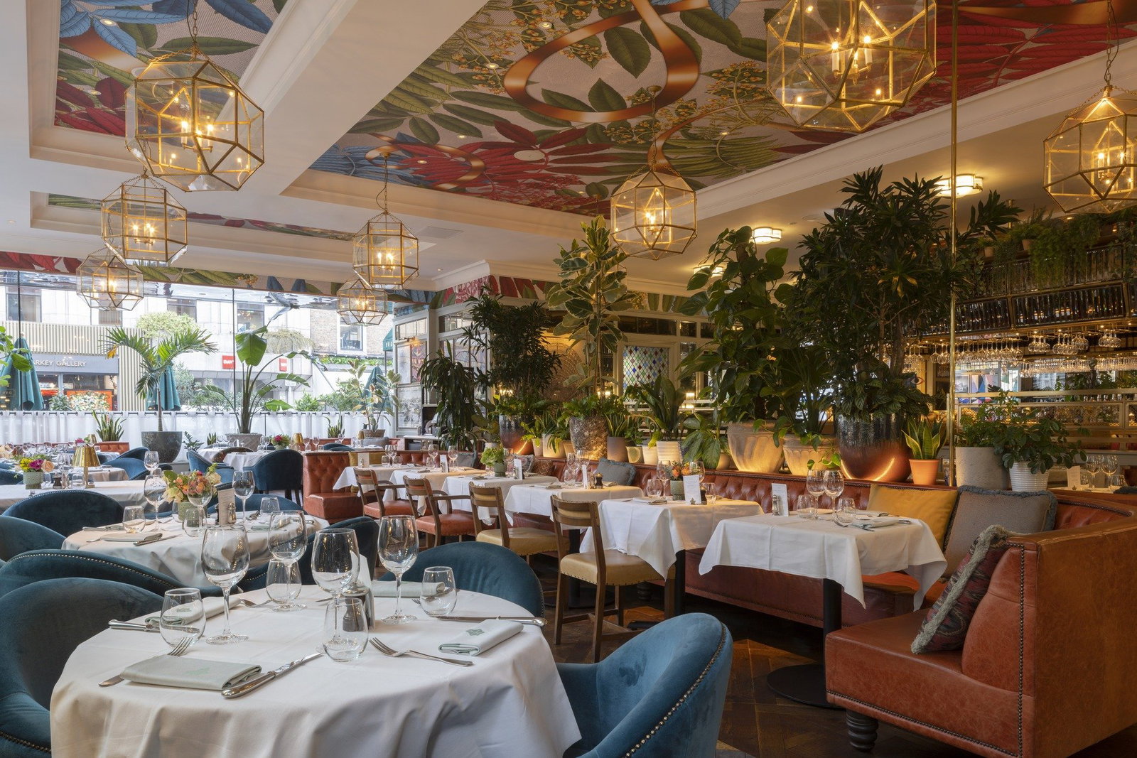 The Ivy Dublin, Dublin, Ireland