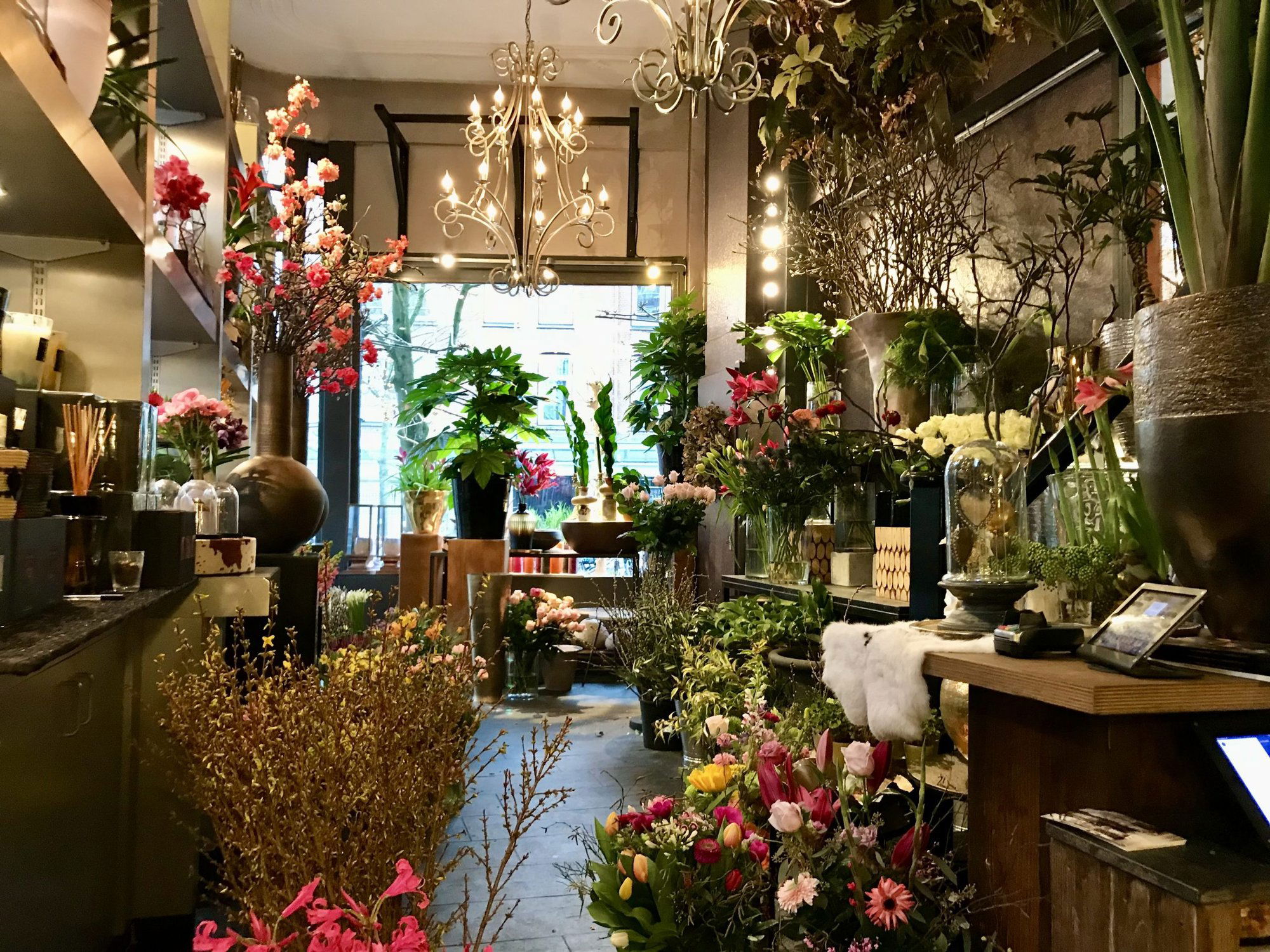 Bloemenboetiek 't Bolletje, Restaurant in Rotterdam