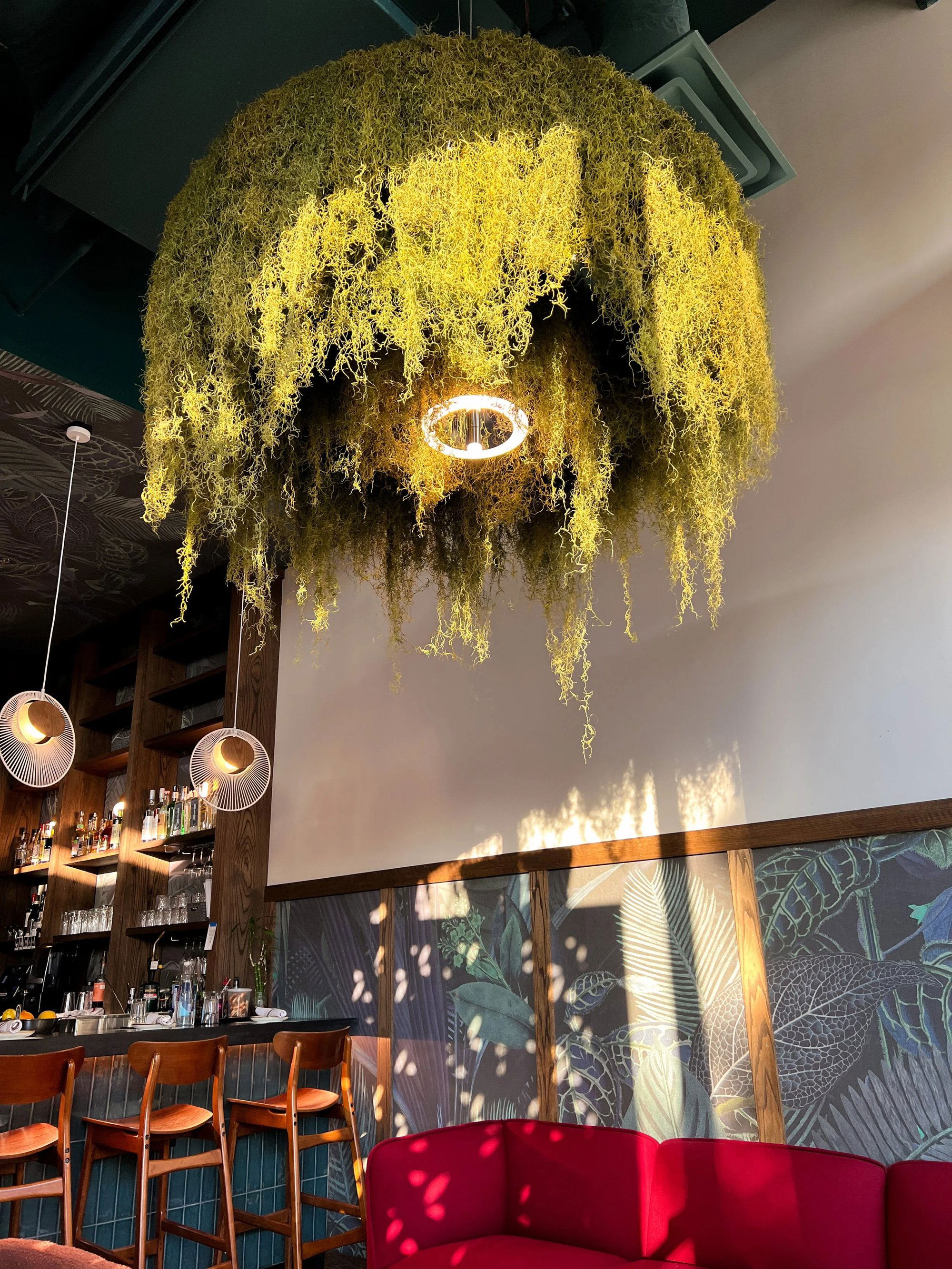 AVO, Restaurant in Nashville