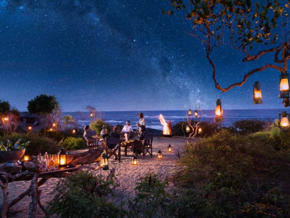 Dinner Under the Stars