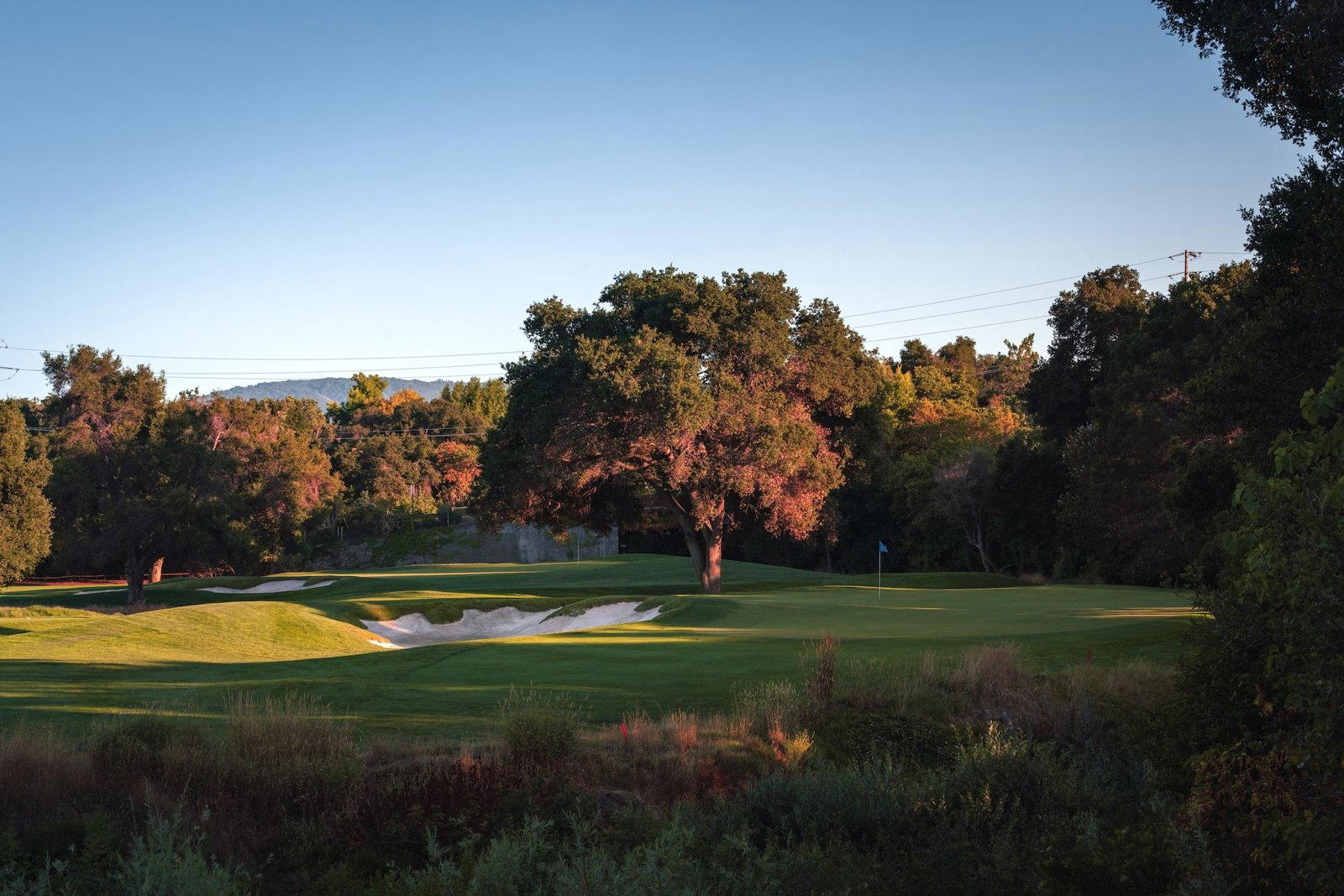 Birdie's at Stanford Golf, Palo Alto, United States