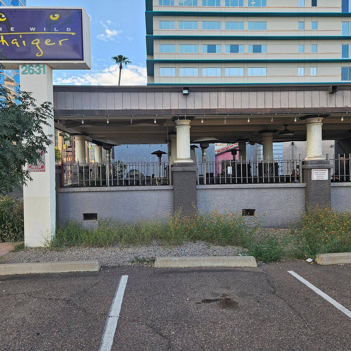 Wild Thaiger, Restaurant in Phoenix