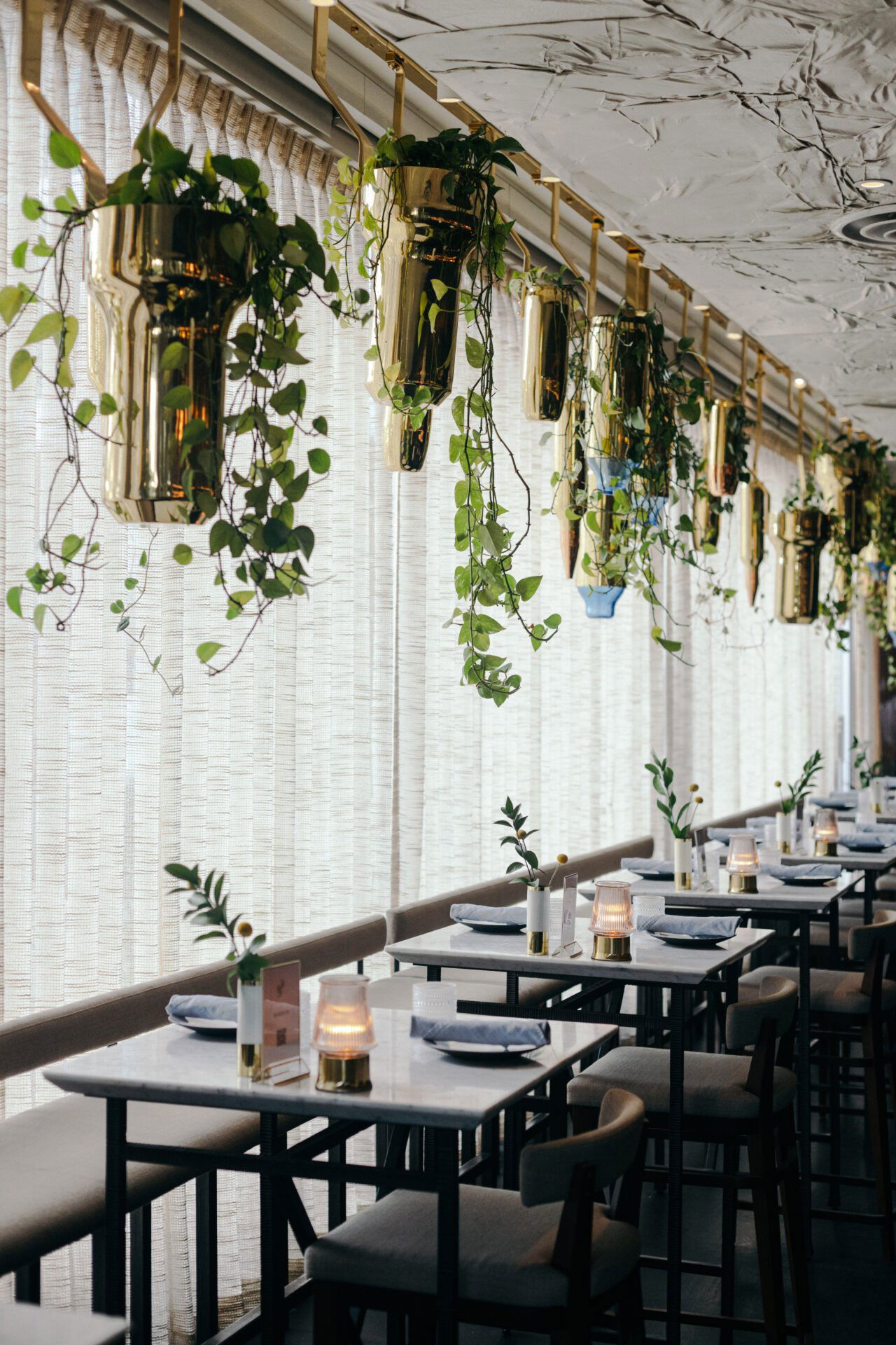 Arlo Grey by Kristen Kish, Restaurant in Austin