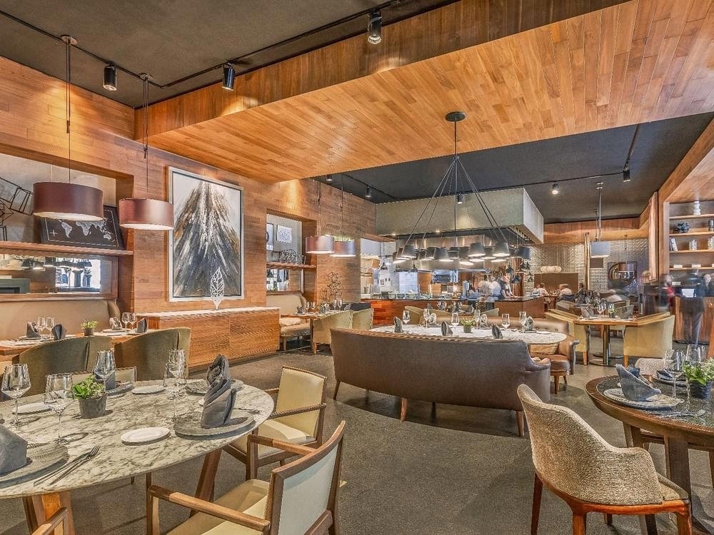 Carnivore Prime Steakhouse