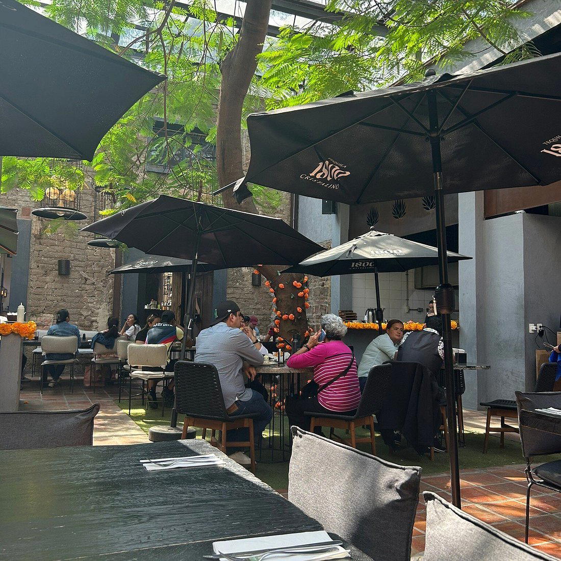 Agave Restaurant restaurant in Guadalajara