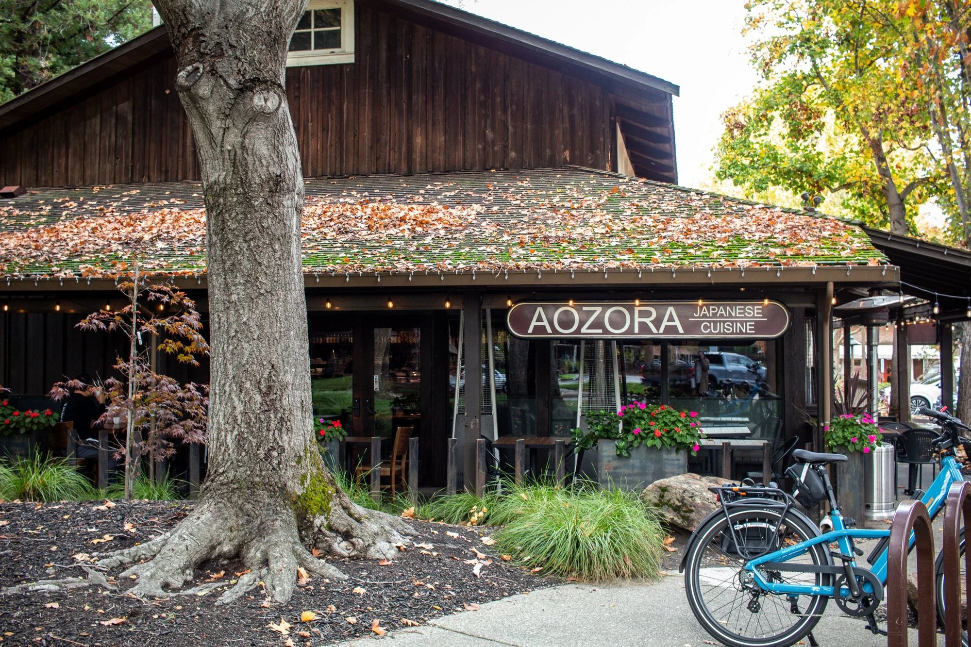Aozora Japanese Restaurant restaurant in Danville, United States