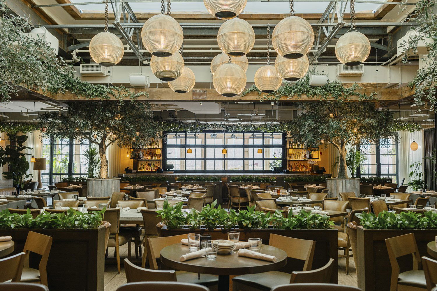Aba Dallas, Restaurant in Dallas