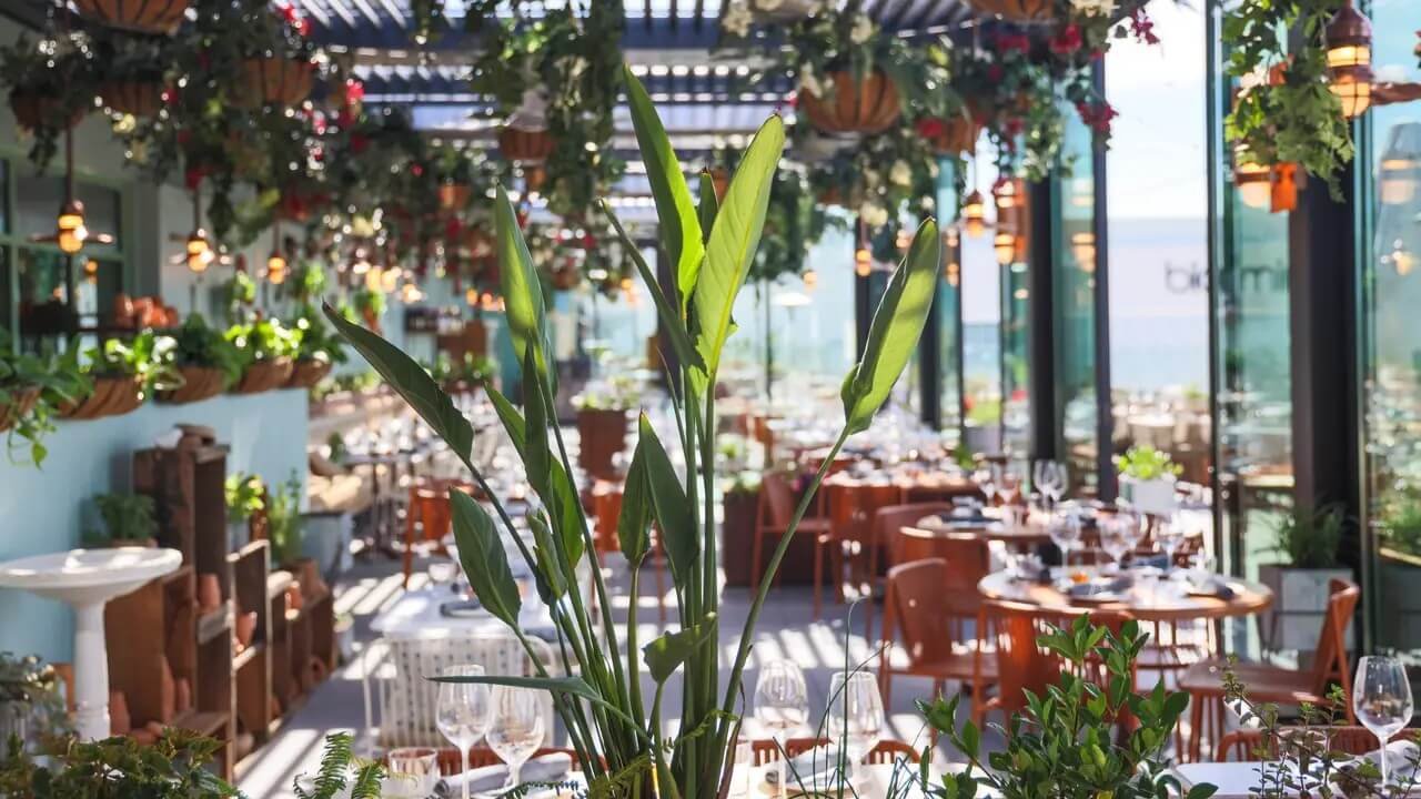 Terra, Restaurant in Santa Clara