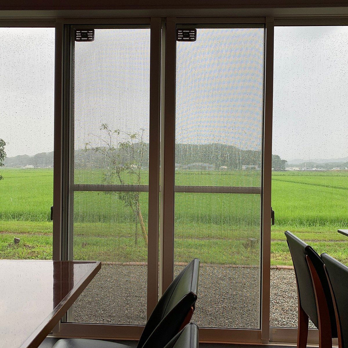 KUROKI Restaurant, Restaurant in Itoshima