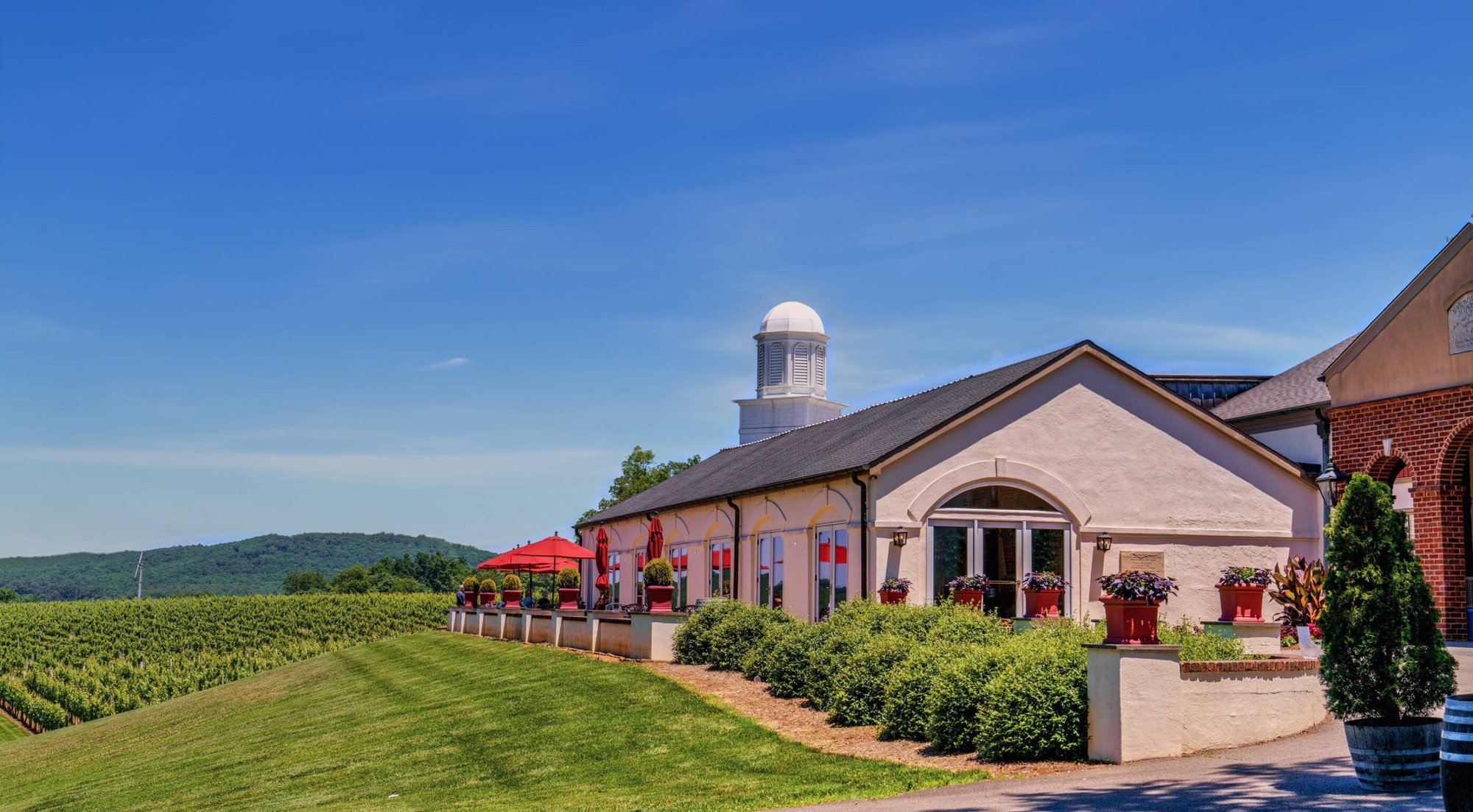 Barboursville Vineyards restaurant in Barboursville, United States