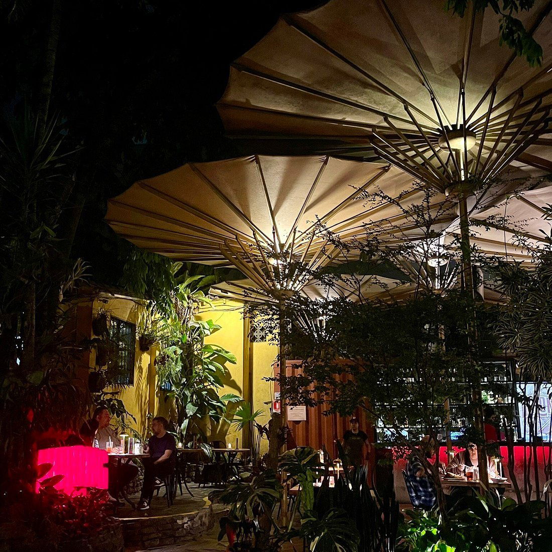 Halong Vietnamita, Restaurant in Medellín