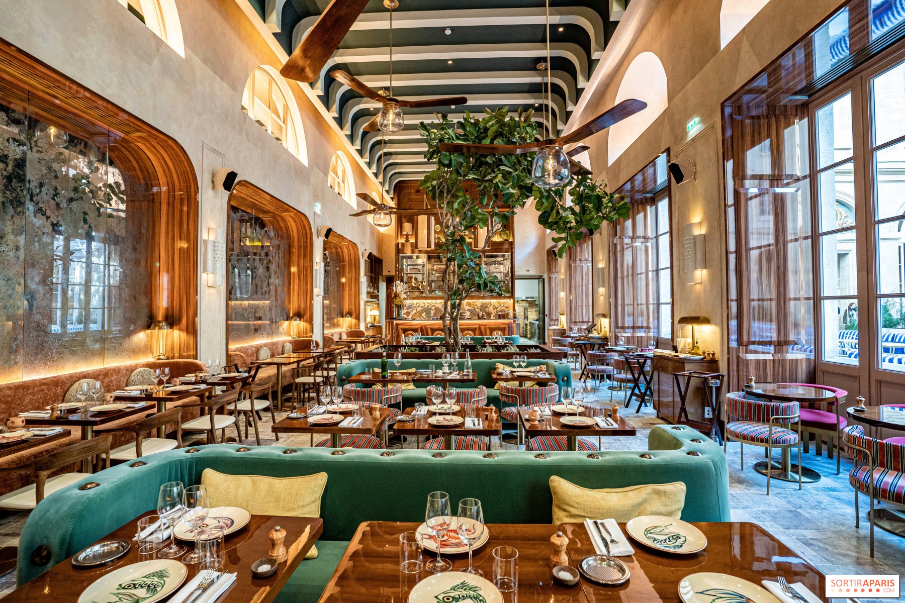 Mimosa, Restaurant in Paris