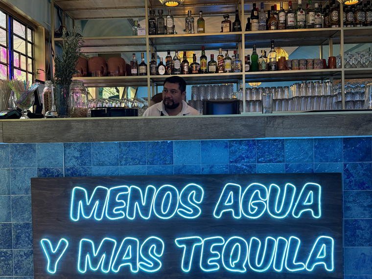 Camaron Buchon - Condesa, Mexico City, Mexico