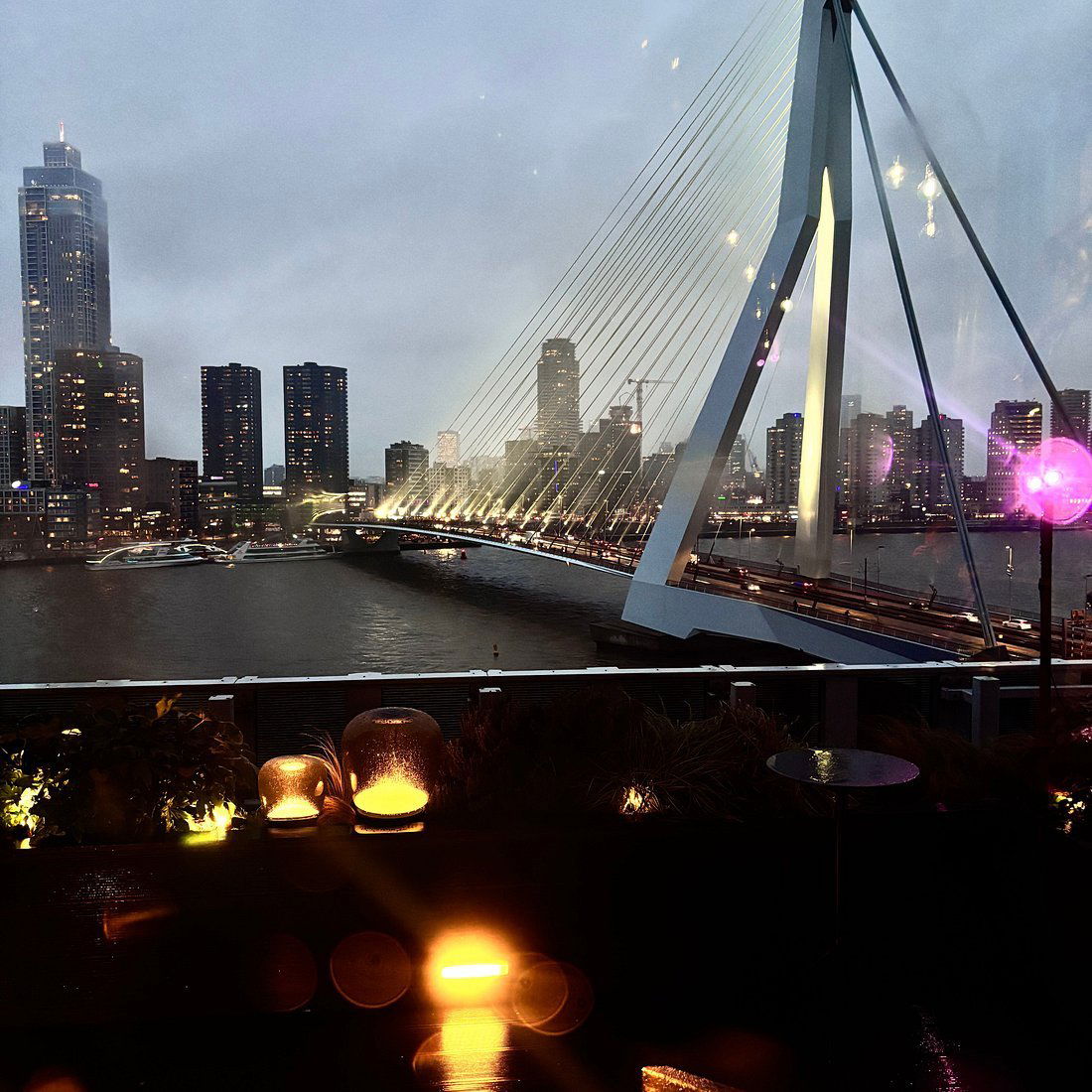 Gastrobar Elvy, Restaurant in Rotterdam