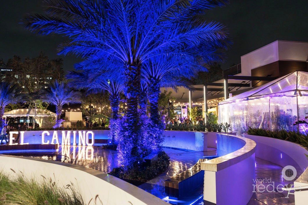 El Camino Boca Raton, Restaurant in Boca Raton