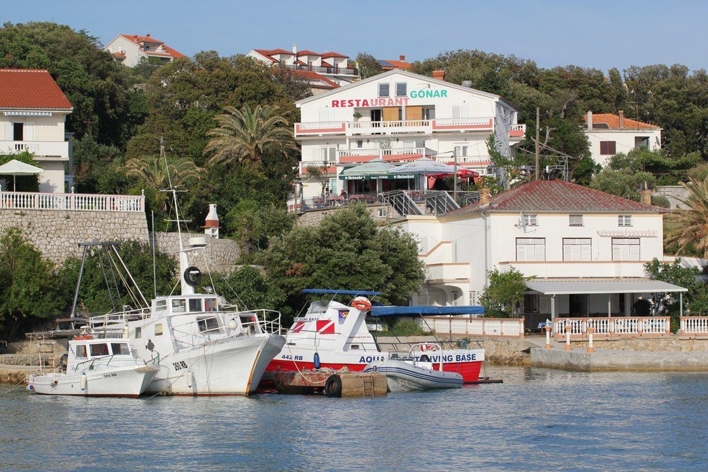 Gonar