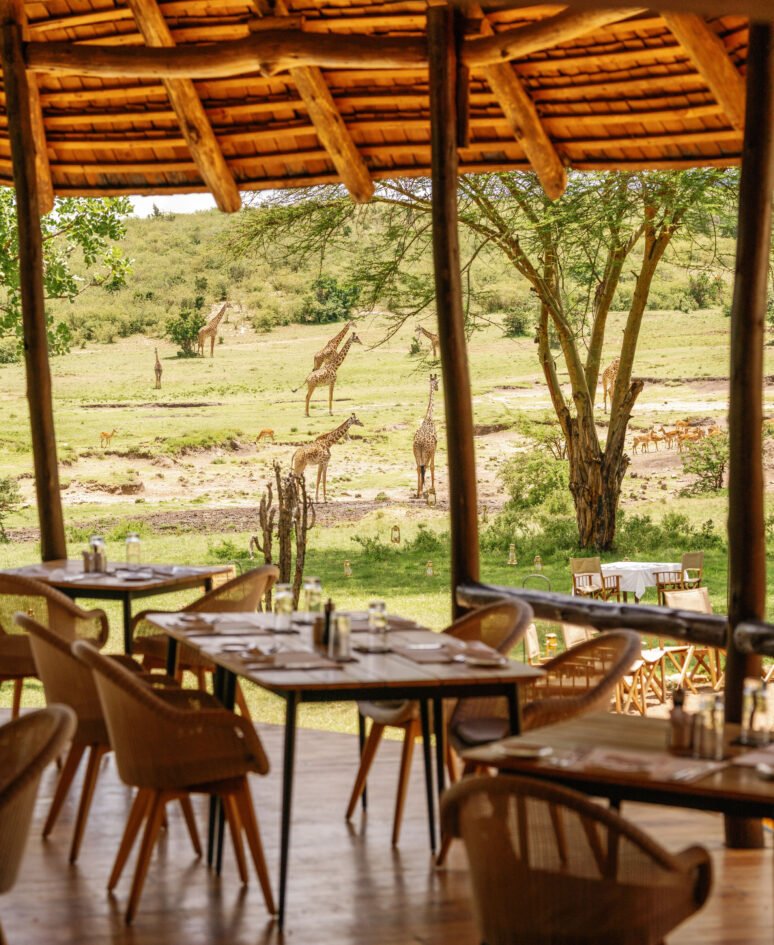 The Bush Kitchen