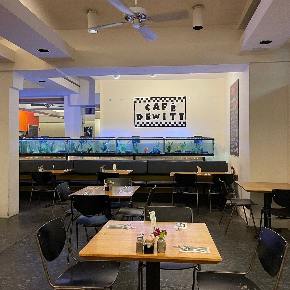 Cafe Dewitt restaurant in Ithaca, United States