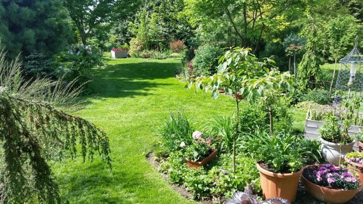 Tilia Garden, Restaurant in Prague
