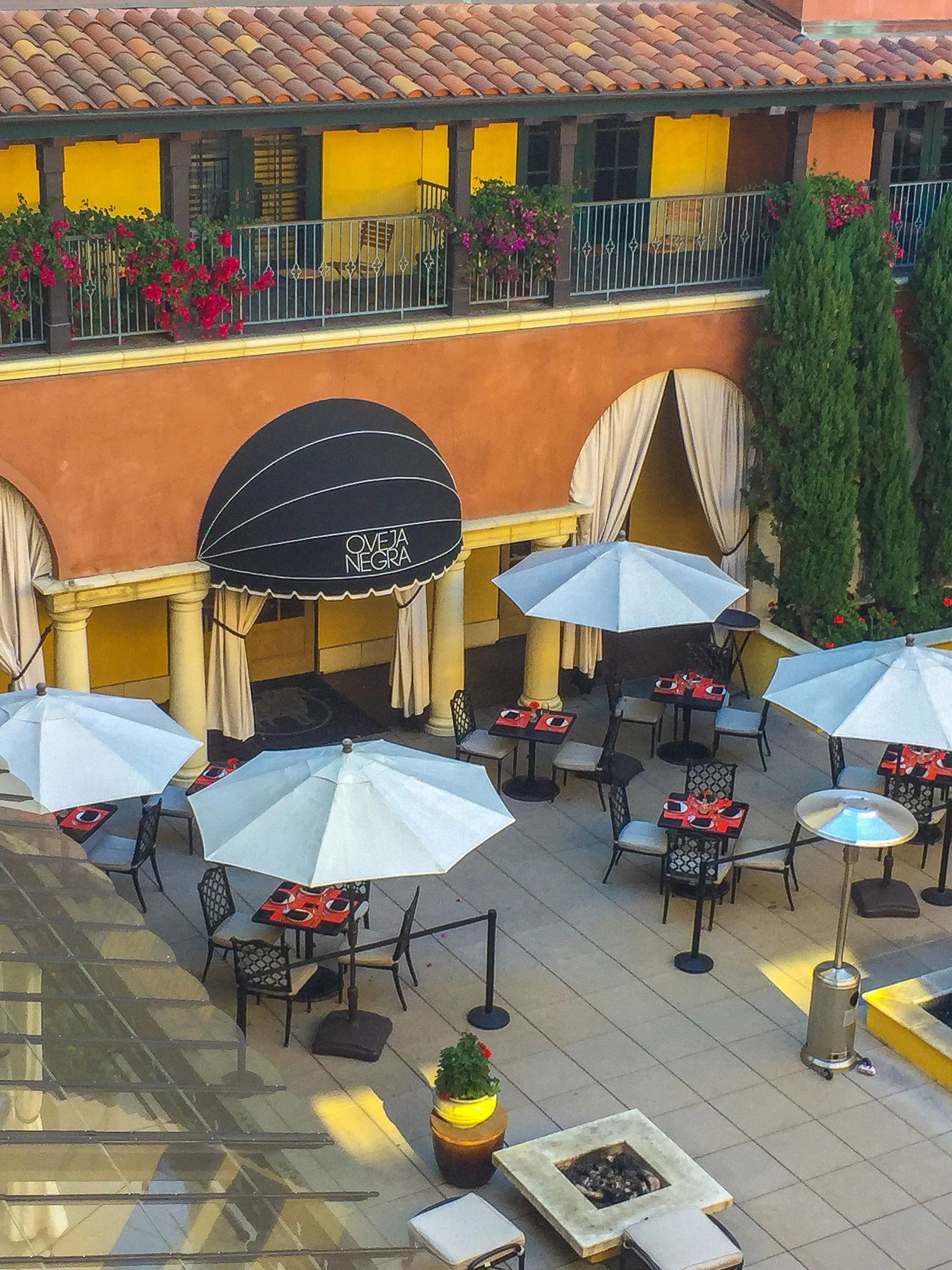 Oveja Negra, Restaurant in San Jose