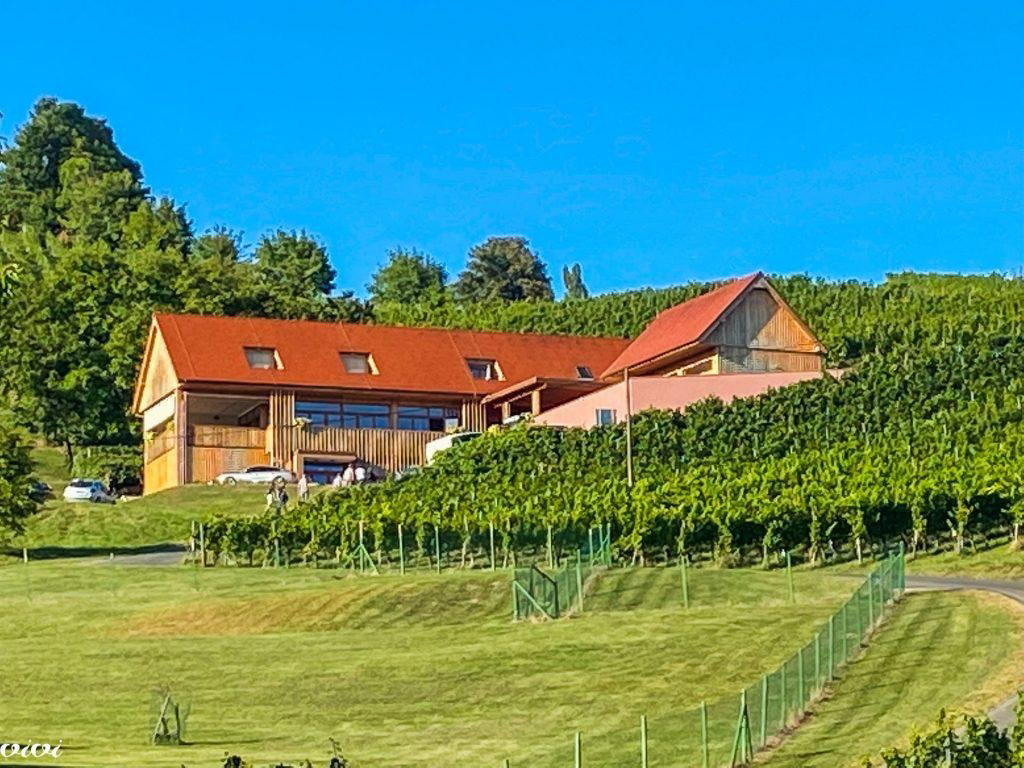 Vino & turizem Valdhuber restaurant in Kungota, Slovenia