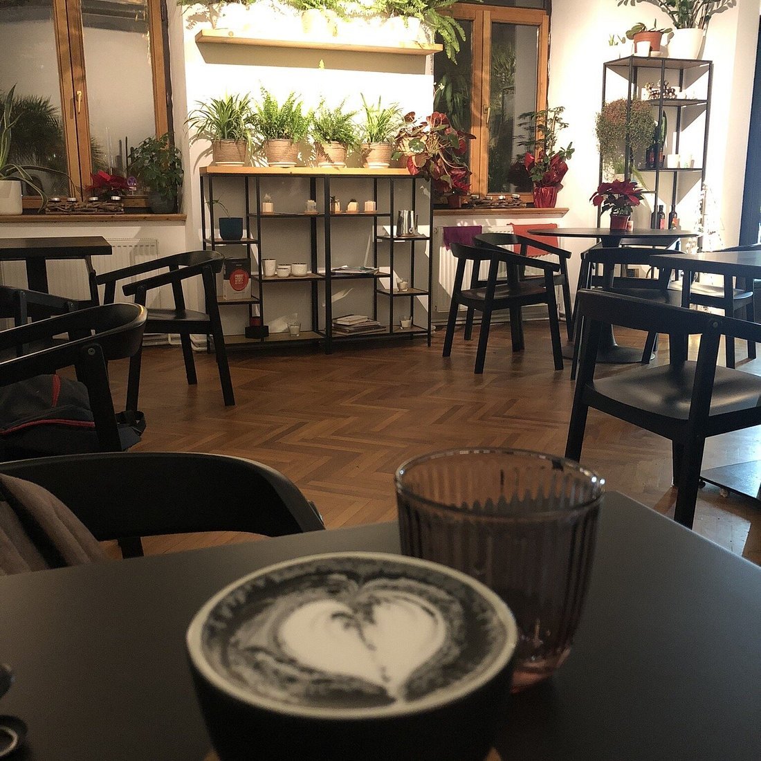 Coffeerize Botanic
