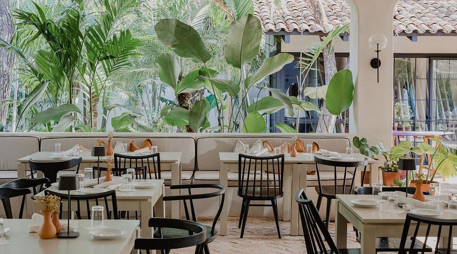 Sendero Kitchen, Restaurant in Nosara