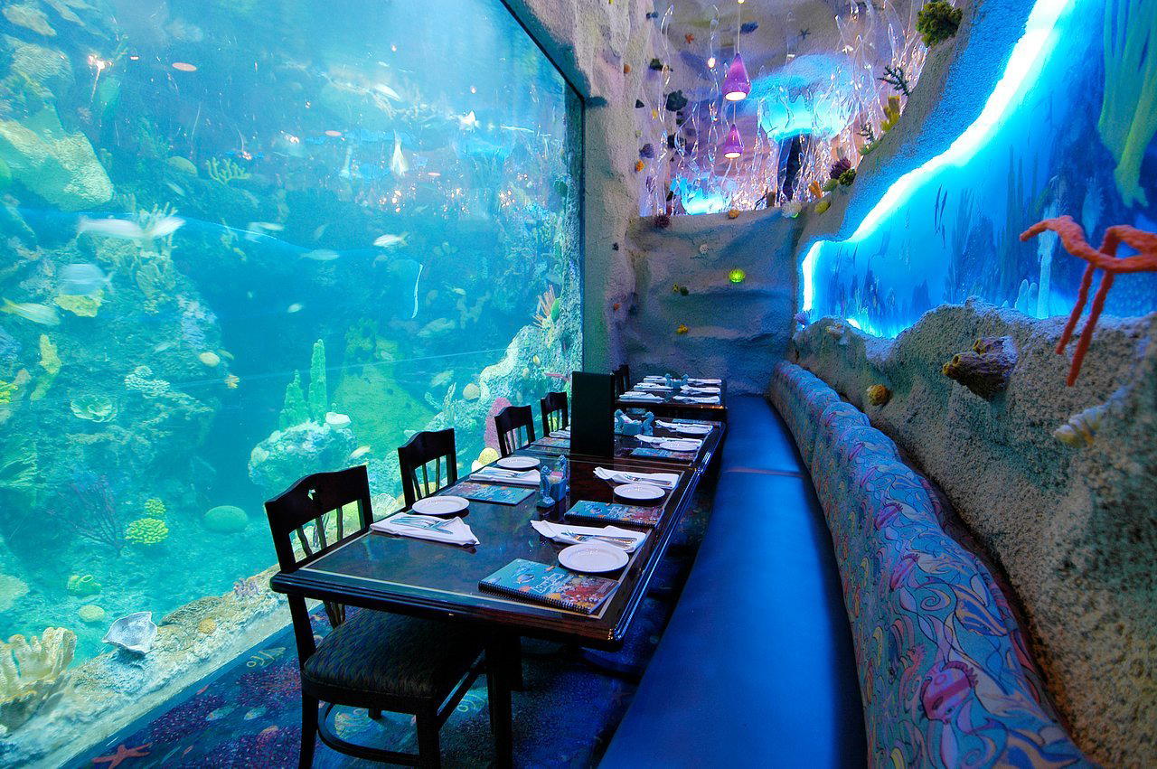 Aquarium Restaurant restaurant in Denver, United States