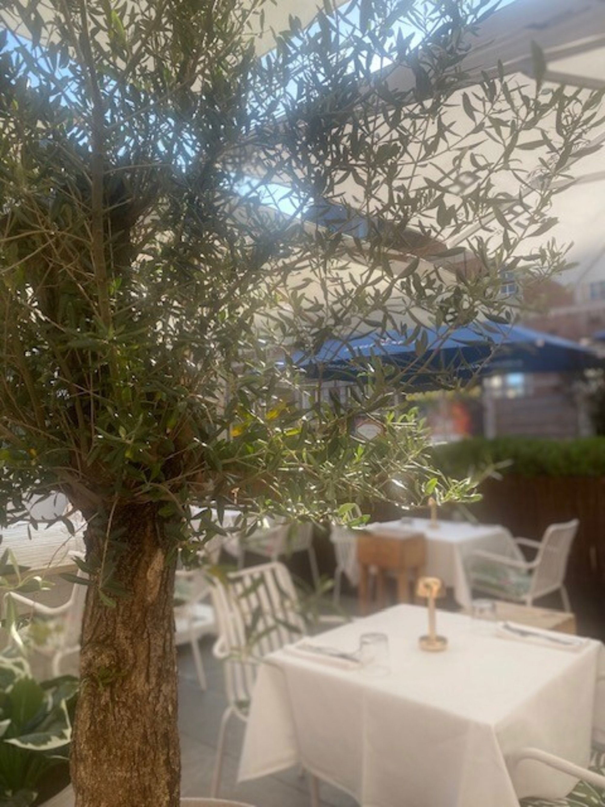 Coco Pazzo, Restaurant in Sint-Truiden