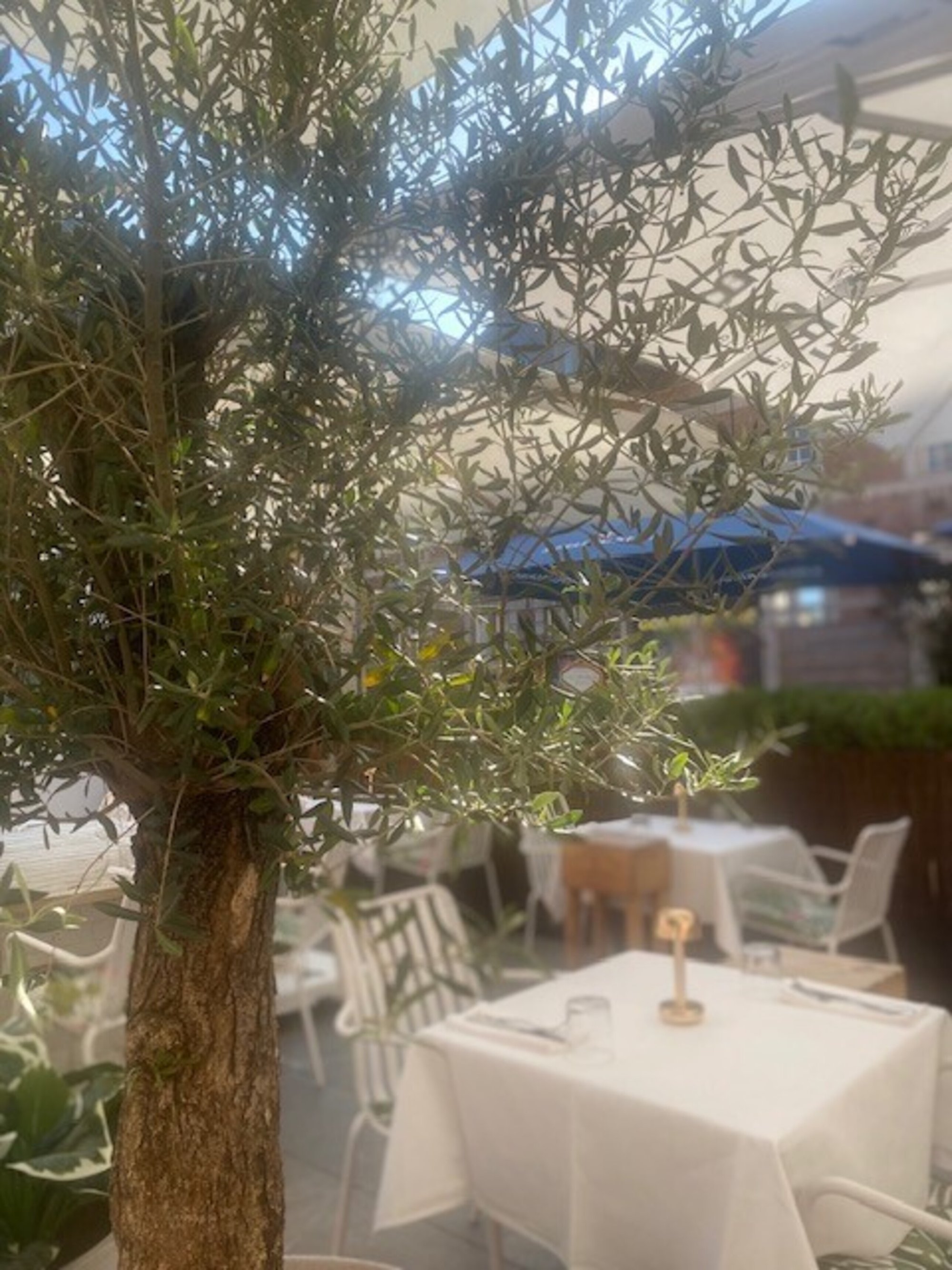 Coco Pazzo restaurant in Sint-Truiden, Belgium