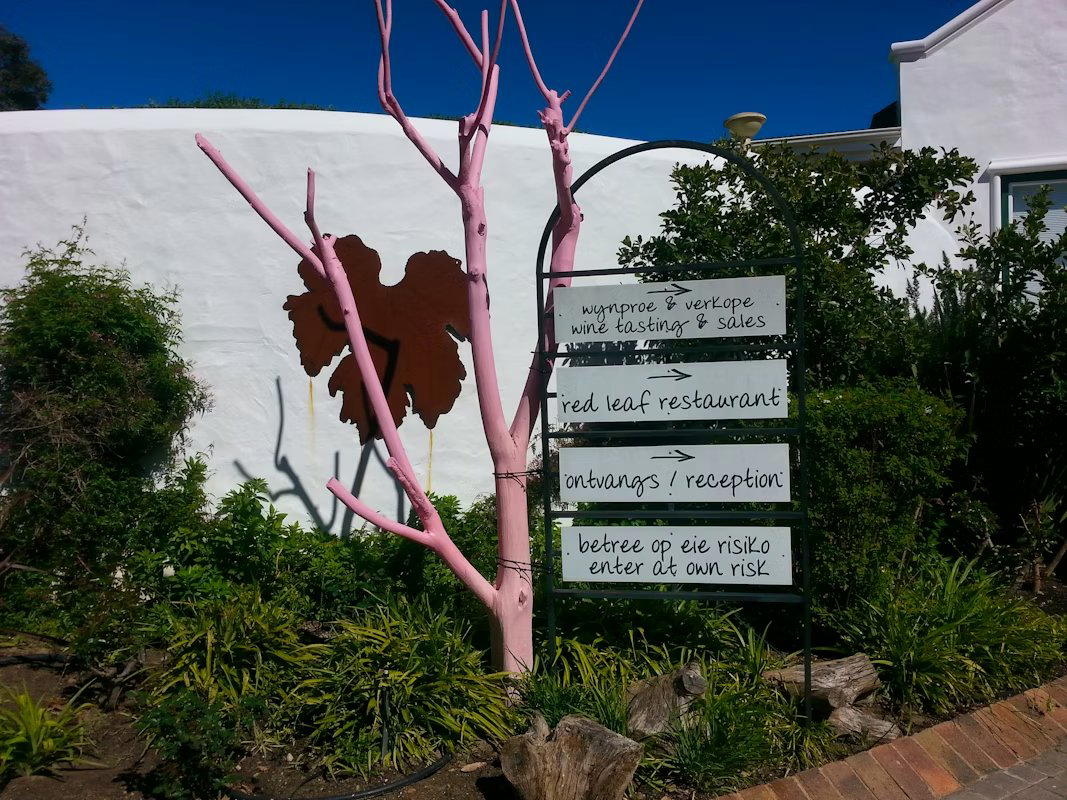 Red Leaf, Stellenbosch, South Africa