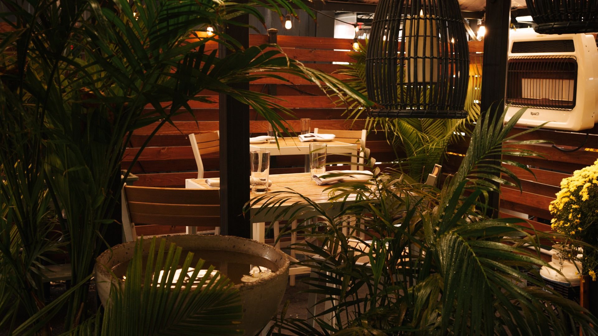 iNDO, Restaurant in St Louis