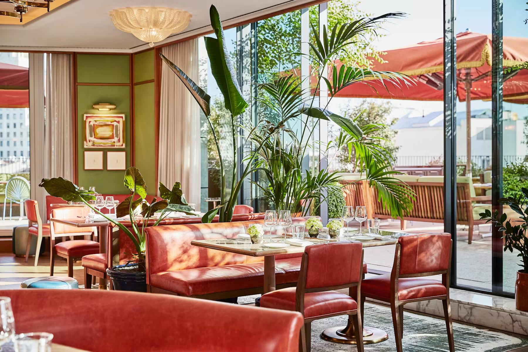 Dani Brasserie