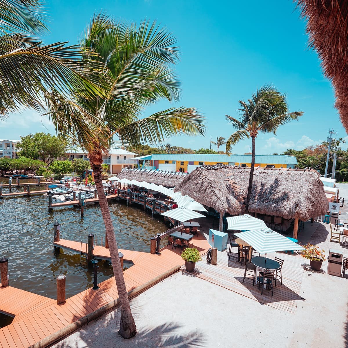 Snappers, Key Largo, United States