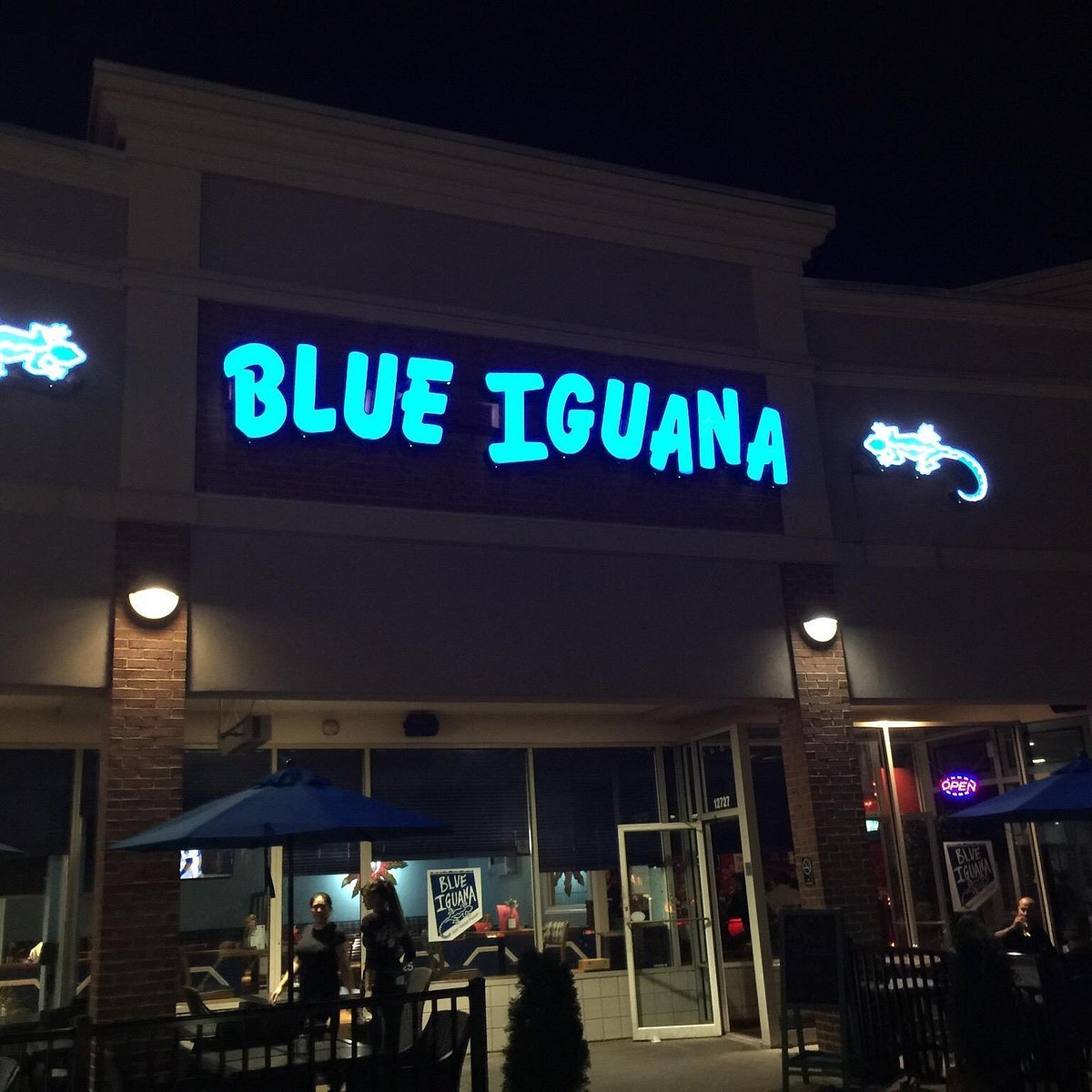 Blue Iguana