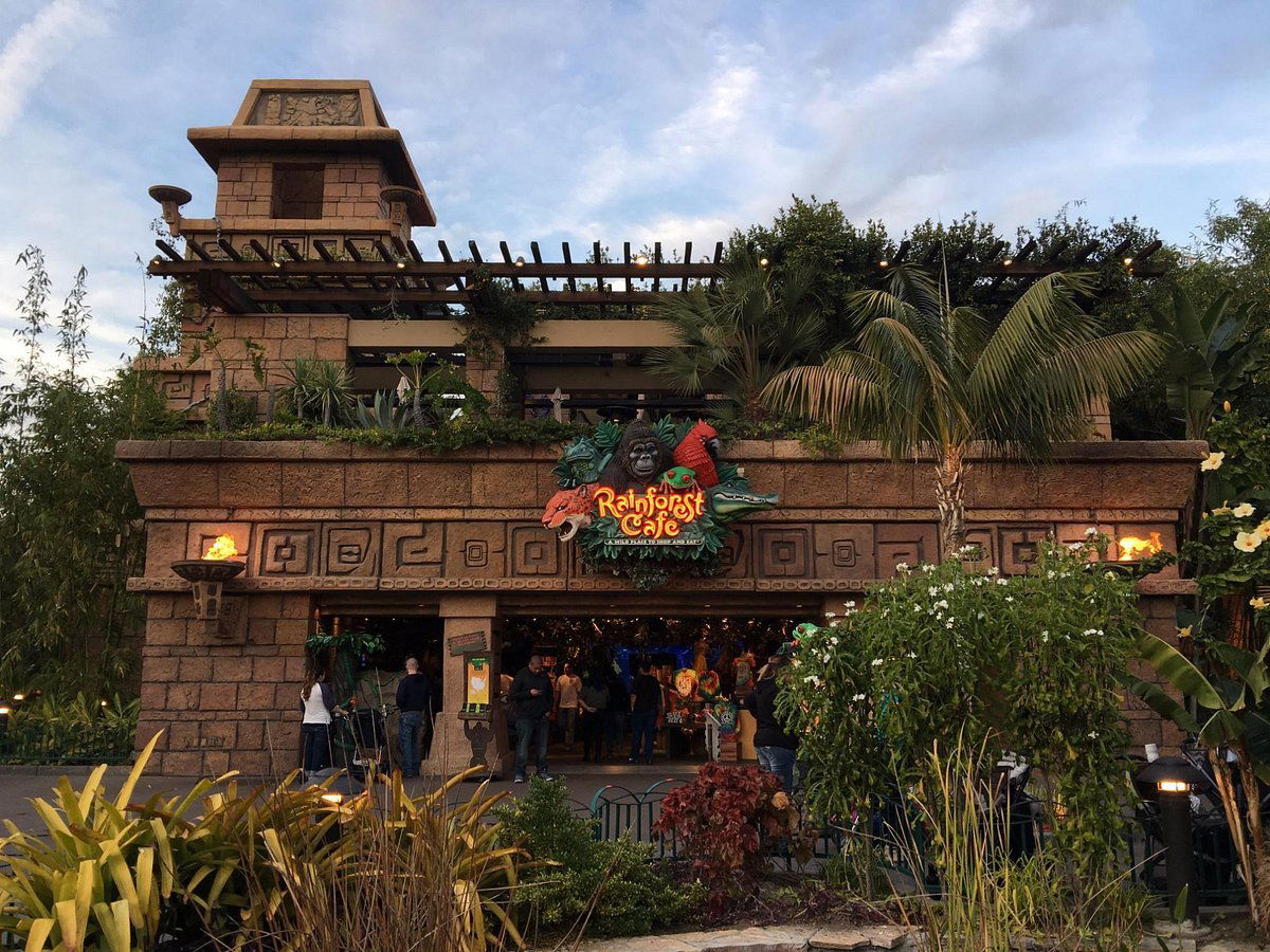 Rainforest Cafe, Restaurant in Anaheim