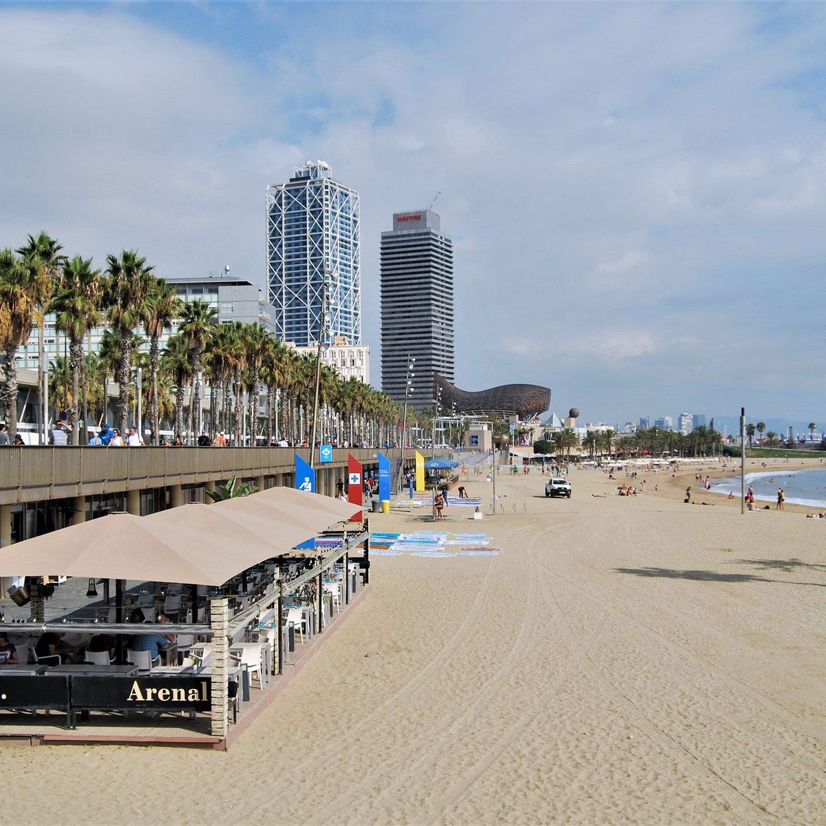 Arenal Restaurant, Restaurant in Barcelona