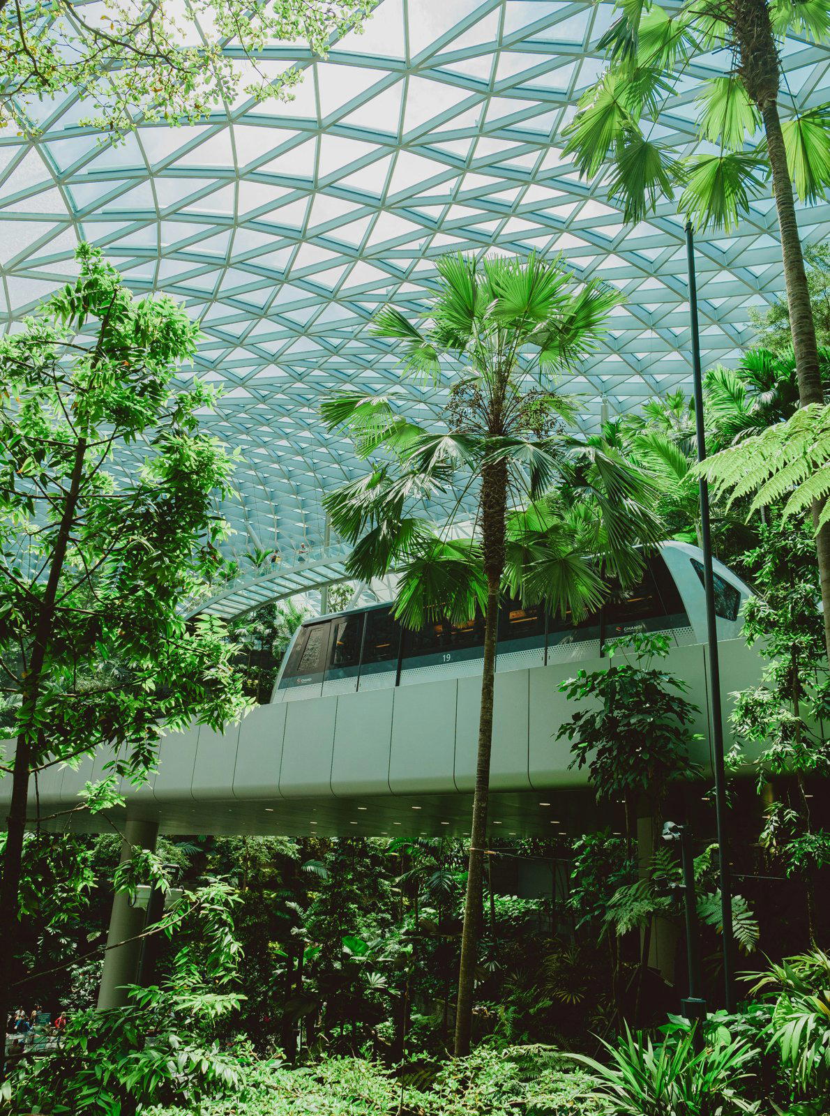 Greenhouse restaurant in Singapore